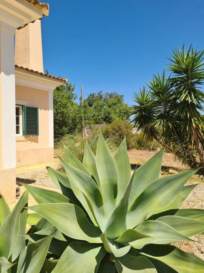 Casa Dos Ventos Bed and Breakfast Olhão Eksteriør billede