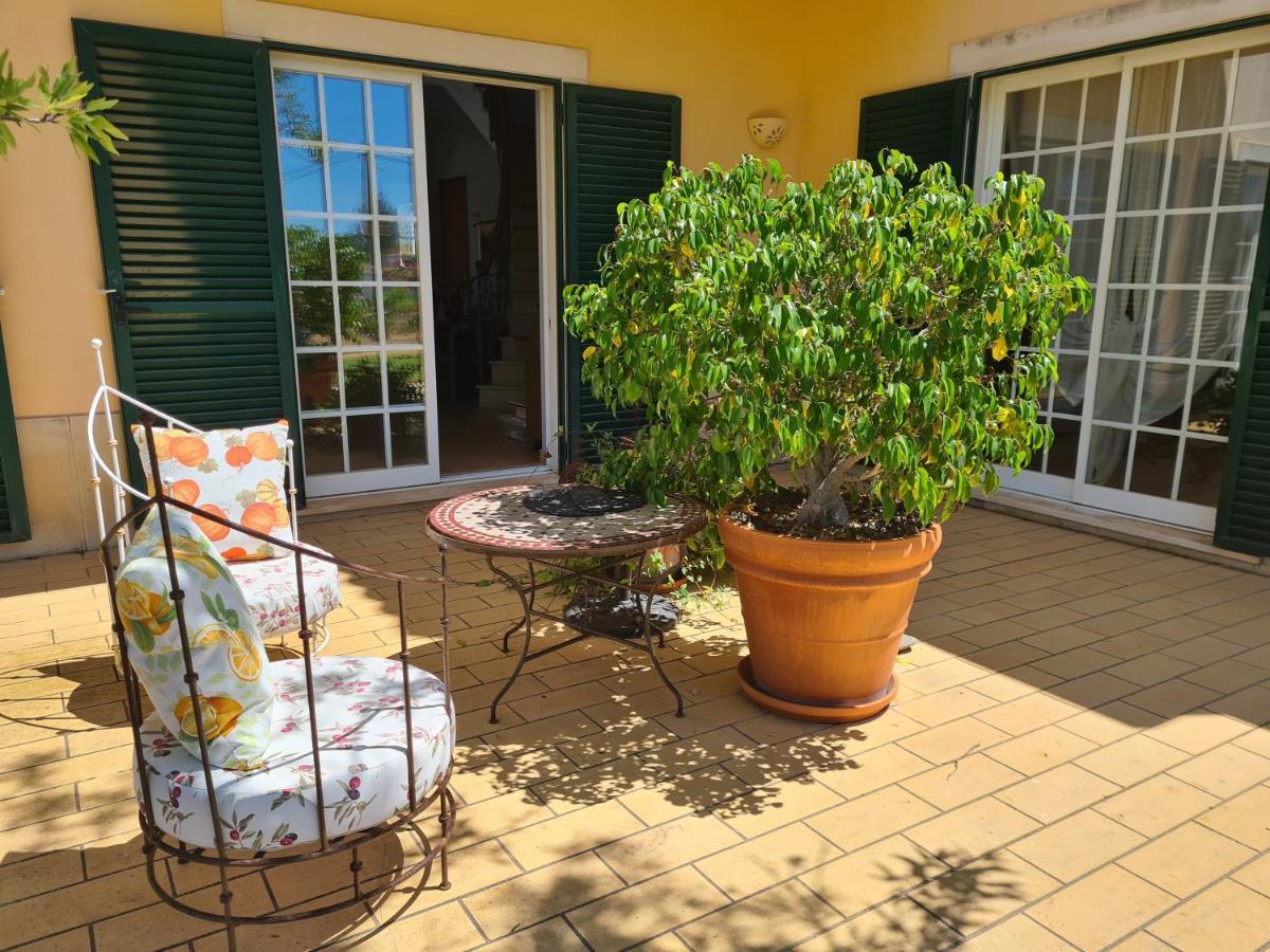 Casa Dos Ventos Bed and Breakfast Olhão Eksteriør billede