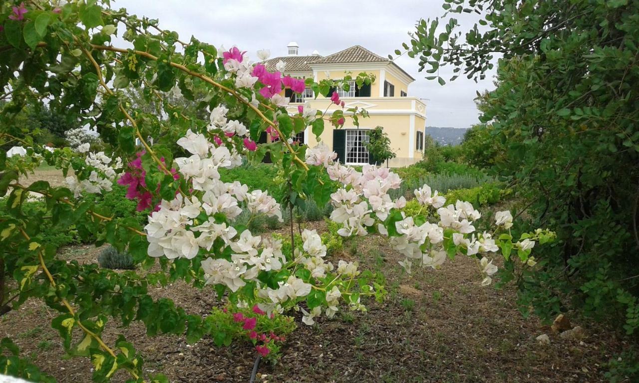Casa Dos Ventos Bed and Breakfast Olhão Eksteriør billede